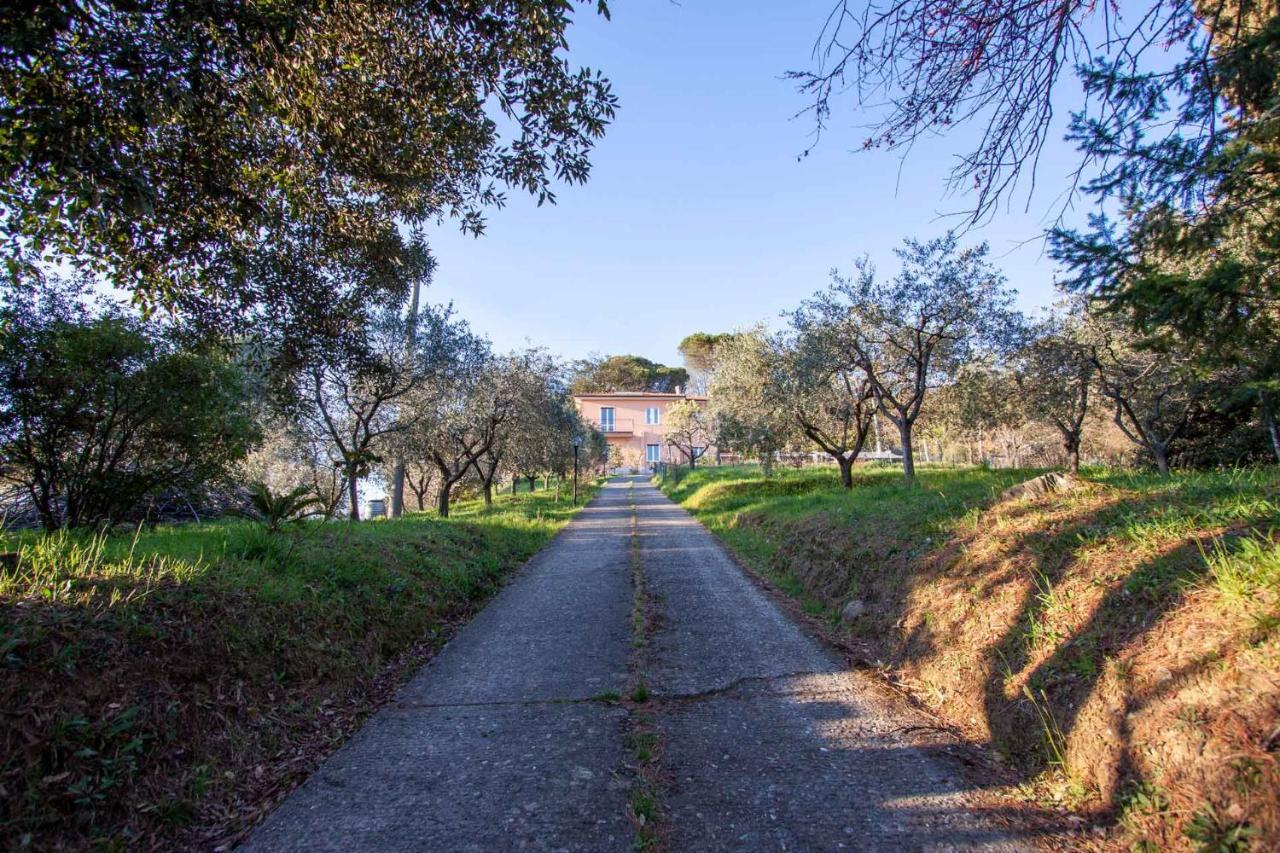 La Camelia Bianca B&B Lerici Exterior foto
